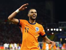 PG电子游戏-荷兰国家队斩获三分，欧预赛势头迅猛