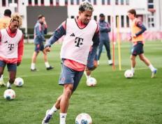 PG电子试玩-里昂主场战胜拜仁，半决赛前景一片光明的简单介绍